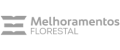 Logo da empresa Melhoramentos Florestal